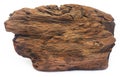 Bogwood over white background Royalty Free Stock Photo