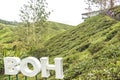 BOH Tea Centre at Sungai Palas Tea Garden tea plantation in Cameron Highland, Malaysia.