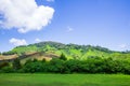 Boh Tea Plantation Cameron Highland - Scenic Splendor with Its Stark Natural Beauty.