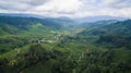 Boh Tea Plantation in Cameron Highland