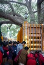 Pilgrims gather at the famous Banyan tree in Bohd Ghaya, where Buddha first gained enlightenm