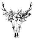 Cow, buffalo, bull skull in tribal style with flowers. Bohemian, boho vector illustration. Wild and free ethnic gypsy