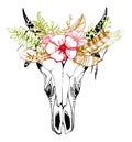 Cow, buffalo, bull skull in tribal style with flowers. Bohemian, boho vector illustration. Wild and free ethnic gypsy