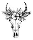Cow, buffalo, bull skull in tribal style with flowers. Bohemian, boho vector illustration. Wild and free ethnic gypsy
