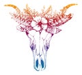 Cow, buffalo, bull skull in tribal style with flowers. Bohemian, boho vector illustration. Wild and free ethnic gypsy