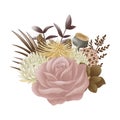 bohemian bouquet of dry tropical, blooming flowers of brown, pink, cream, beige flowers isolated on white background
