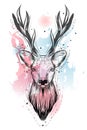 Bohemian illustration with hand drawn deer at watercolor background.