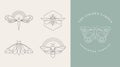 Bohemian linear logos, icons and symbols, insect, butterfly, dragonfly and moth design templates, geometric abstract