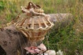 Countryside, Rural Craftsmanship. Handmade Wind Chime Decoration. Summer Sea Shells, Strings, Cords and Wild Flowers Art, Culture. Royalty Free Stock Photo