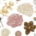 bohemian seamless pattern of dry tropical, blooming flowers in brown, pink, cream, beige colors on a white background