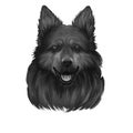 Bohemian Shepherd, Chodsky pes, Chodenhund, Czech Sheepdog, Bohemian Herder dog illustration isolated on white background. Czech