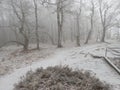 bohemian switzerland rocks and nature in winter