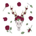 Bohemian vector western mystical deer skull, print rose flowers. Deer bohemian head, western vintage animal. bohemian