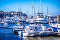 Bohiket marina with boats near kiawah island