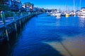 Bohiket marina with boats near kiawah island