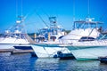 Bohiket marina with boats near kiawah island