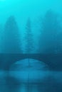 Bohinj lake bridge in foggy morning, tranquil scene from Slovenia\'s travel destination Royalty Free Stock Photo