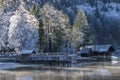 Bohinj lake Royalty Free Stock Photo