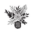 Boho black decorative plants and flowers collection. Royalty Free Stock Photo