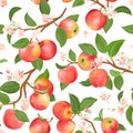 Boho botanical apple seamless pattern. Vector autumn fruits, flowers, leaves texture. Summer floral background Royalty Free Stock Photo