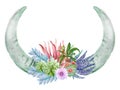 Boho Bull Buffalo horns floral succulents and cactus collection with isolated pink leaves and hand drawn watercolor design