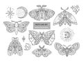 Boho butterfly vector set.