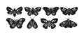 Boho celestial butterfly vector illustration set.