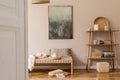 Cosy, earth tone living room interior with natural home decor. Royalty Free Stock Photo