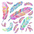 Boho feather collection in bright colorful vector design