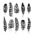 Boho feather hand drawn effect vector style illustration