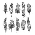 Boho feather hand drawn effect vector style illustration