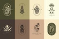 Boho floral emblems. Abstract botanical symbols with leaves and flowers. Magic zodiac astrology signs. Nature luxury Royalty Free Stock Photo