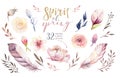 Boho flower set. Colorful floral collection with leaves and flowers, drawing watercolor. Spring or summer bouquet design Royalty Free Stock Photo