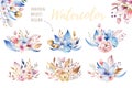 Boho flower set. Colorful floral collection with leaves and flowers, drawing watercolor. Spring or summer bouquet design Royalty Free Stock Photo