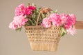 Boho girl holding pink peonies in straw basket. Stylish hipster woman in bohemian floral dress gathering peony flowers on white