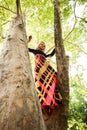 Boho girl in long colorful dress stand on tree in park summer da