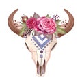 Boho illustration, animal skull with flowers, cow, bull.