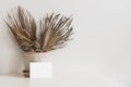 Boho interior still life scene. Blank business card mocku-up. Dry palm leaves in flower pot on table. White wall