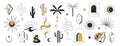 Boho logo cactus, sun, moon, crystals, palms, window and desert symbols