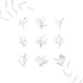 Boho logo. Tiny tattoo floral design set in doodle style isolated black contour hand drawign on white background. Botanical vector
