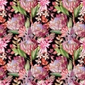 Boho style exotic seamless pattern with proteas and succulents Royalty Free Stock Photo