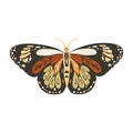 Boho vector butterfly.