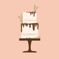 Boho wedding or birthday cake with blueberries and chocolate icing. Naked wedding cake
