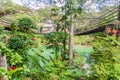 BOHOL, PHILIPPINES - FEB 11, 2018: View of Sipatan Twin Hanging Bridge over Loboc river on Bohol island, Philippin Royalty Free Stock Photo