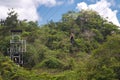 Woman riding a bike on zip line in the jungle forest