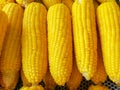 boil corn on the steel tray, Thailand