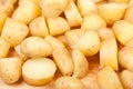 Boild new potatoes Royalty Free Stock Photo