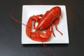 Boiled Atlantic Lobster on white plate Royalty Free Stock Photo