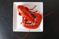 Boiled Atlantic Lobster on white plate Royalty Free Stock Photo