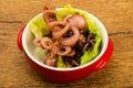 Boiled baby octopuses Royalty Free Stock Photo